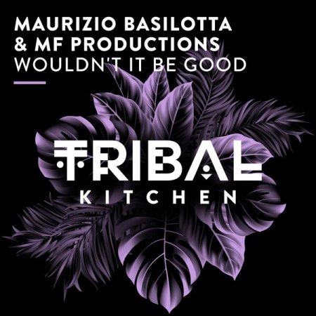 Maurizio Basilotta & MF Produc - Wouldn't It Be Good