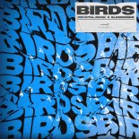 Crystal Rock & Slenderino - Birds