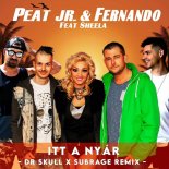Peat Jr. & Fernando Feat. Sheela - Itt A Nyar (Dr Skull & Subrage Remix)