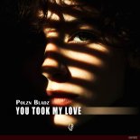 Polzn Bladz - You Took My Love (Extended Mix)