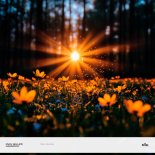 IOAN MILLER - Harmony