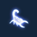 BABY KOALA - SAND KING