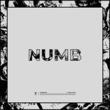 mudekhar - NUMB
