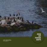 DNCS  -  Oasis (Radio Edit)