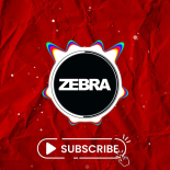 Zebra (POL) - Po niebieskim niebie (Club Edit)