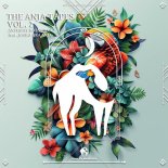 Anthony Bassoulou - My Flow