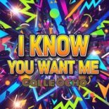 Geo Da Silva & Canello - I Know You Want Me (Calle Ocho) (Extended Mix)