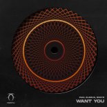 Paul Elbrus & rsstr - Want You