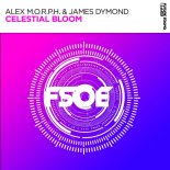 Alex M.O.R.P.H. & James Dymond - Celestial Bloom (Extended Mix)