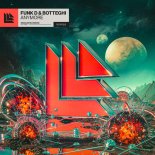 Funk D & Botteghi - Anymore (Extended Mix)