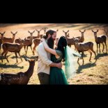 FerdynandMusic - Kochana Moja