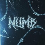 Seeko, New Beat Order, Anika & Kroma - Numb