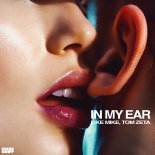 Like Mike & Tom Zeta - In My Ear (Original Mix)