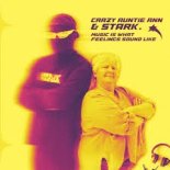 Crazy Auntie Ann & Stark - Muzyka to to, co brzmi jak uczucia (wersja rozszerzona) {2025}