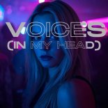Dings and Bumms - Voices (In My Head)