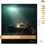 Noisecontrollers - Down Down (Ecstatic Extended Remix)