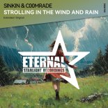 Sinkin & C00mrade - Strolling In The Wind And Rain (Original Mix)