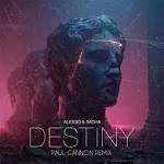 Alesso feat. SACHA - Destiny (Paul Gannon Remix)