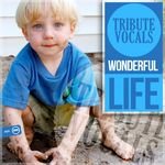 Tribute Vocals - Wonderful Life (Original Mix)