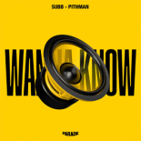 SUBB, Pithman - Wanna Know (Extended)