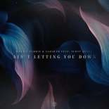 Martin Garrix & Saksham feat. Scott Quinn - Ain't Letting You Down (Original Mix)