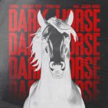 2Hounds, New Beat Order, TECHNO KING feat. Jasmine Crowe - Dark Horse
