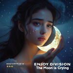Enjoy Division - The Moon Is Crying (Euro Remix)