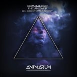 Commander - What You Control (Extended Mix)