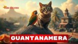 Rumba Bass - Guantanamera (J.Devis & Jorge Walking Remix)