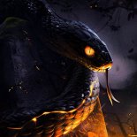 BABY KOALA - MYSTIC SNAKE