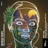 Seumas Norv - You Gotta Love Somebody (Extended Mix)