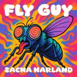 Sacha Harland - Fly Guy (Extended Mix)