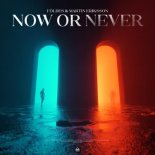 Földes & Martin Eriksson - Now Or Never