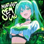 blueberry & Diseleit - MONTAGEM SEM CAO
