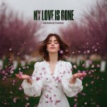Edvin Stokes - My Love Is Gone