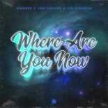 2Hounds, Lost Culturé & Luc Rushmere - Where Are You Now 🔥