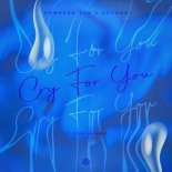 Powered Djs & Skuado ft. Tessa Maynard - Cry For You