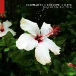 Elephante & shXdow. Feat. Daye - Nothing To You