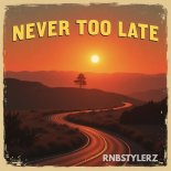Rnbstylerz - Never Too Late (Instrumental Edit)