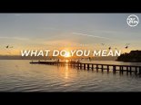 Justin Biebier - What Do You Mean? (Fair Play Remix) (Club/Dance Edit)