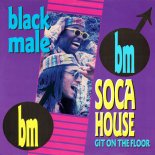 Black Male - Soca House (69 Degrees Mix)