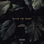 FaraoN & Nowakowski - After The Night