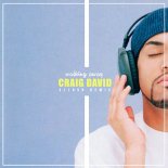 Craig David x Chippon x DJ Tol-Life & Vincent feat. Dia - Walking Away (DJ RAHIMO MASHUP)