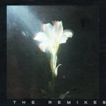 Netsky Feat. Bebe Rexha - Light That Leads Me (Boris Way Extended Remix)