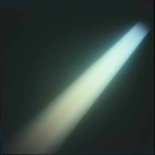 ADN - Rise in Light