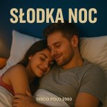 Disco Polo 2050 - Słodka Noc