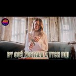 Irena Jarocka - By Coś Zostało z Tych Dni [Nowe Disco Cover 2025]