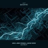 Avilo, Erich Thomas, Haylee Wood - Electricity (Original Mix)