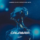 Cuebrick & Pink Panda Feat. ACID BOYZ - Calabria