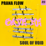 Prana Flow & Soul Of Void - Save Me